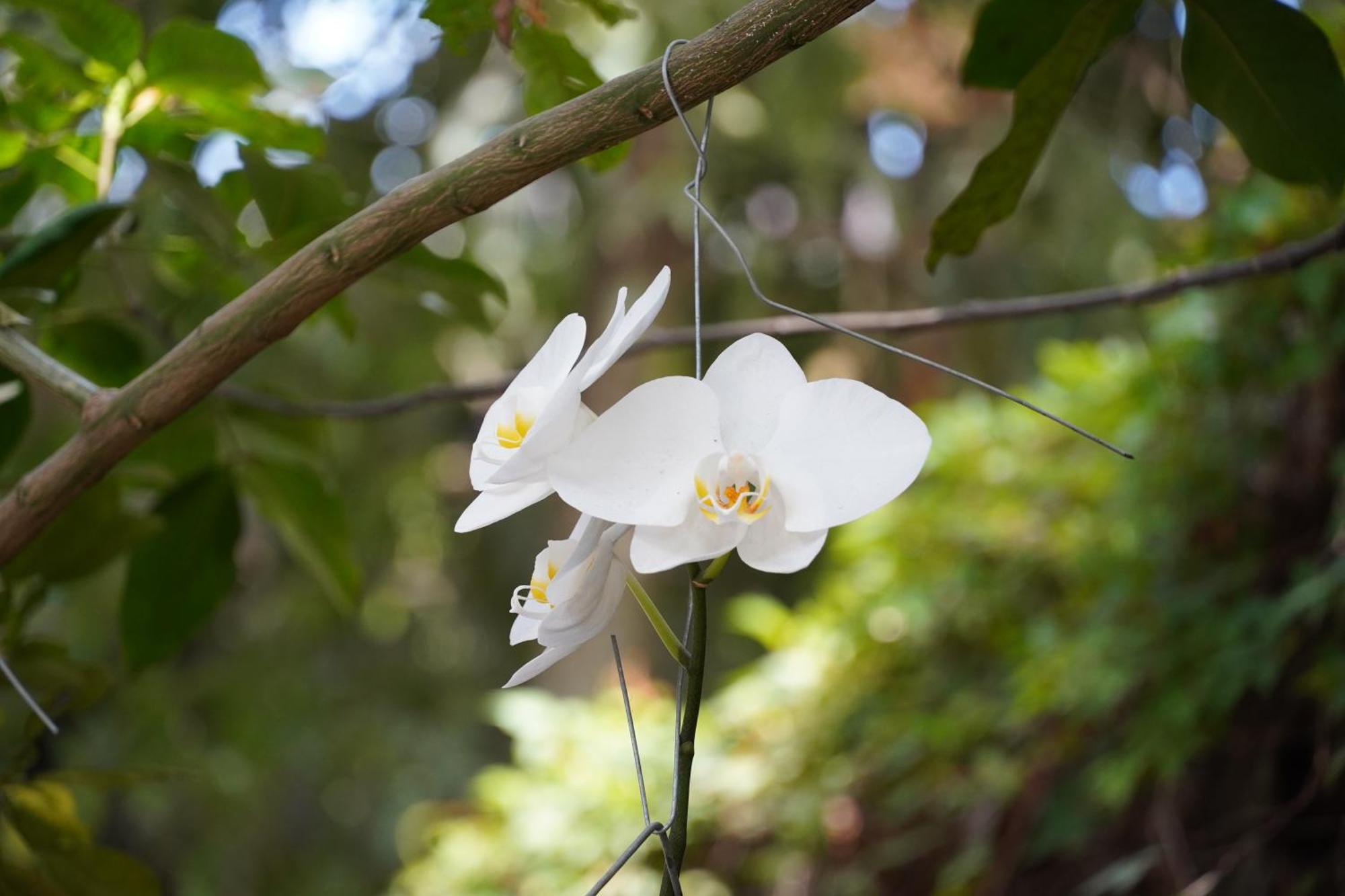 Villa Las Flores San Salvador Eksteriør bilde
